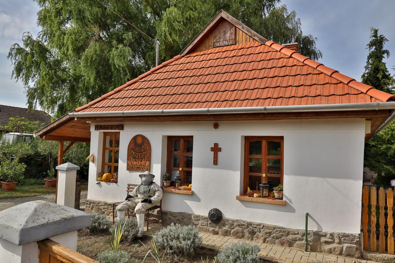 Mezes Vendeghaz Es Apiterapias Koezpont Hotel Vizsoly Luaran gambar