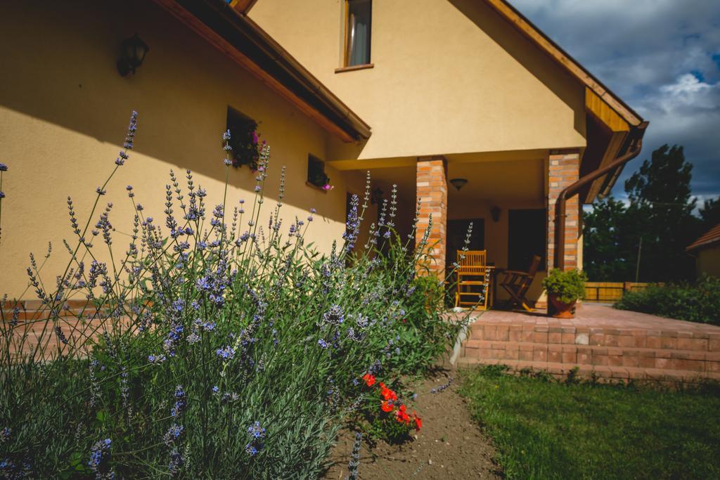 Mezes Vendeghaz Es Apiterapias Koezpont Hotel Vizsoly Luaran gambar